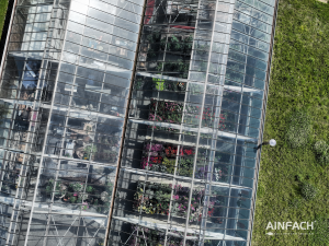 Blumentenne Impressionen