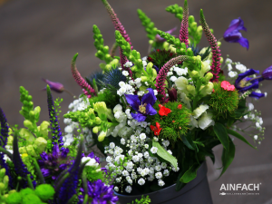 Blumentenne Impressionen