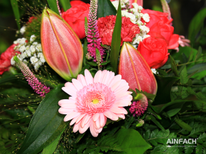 Blumentenne Impressionen